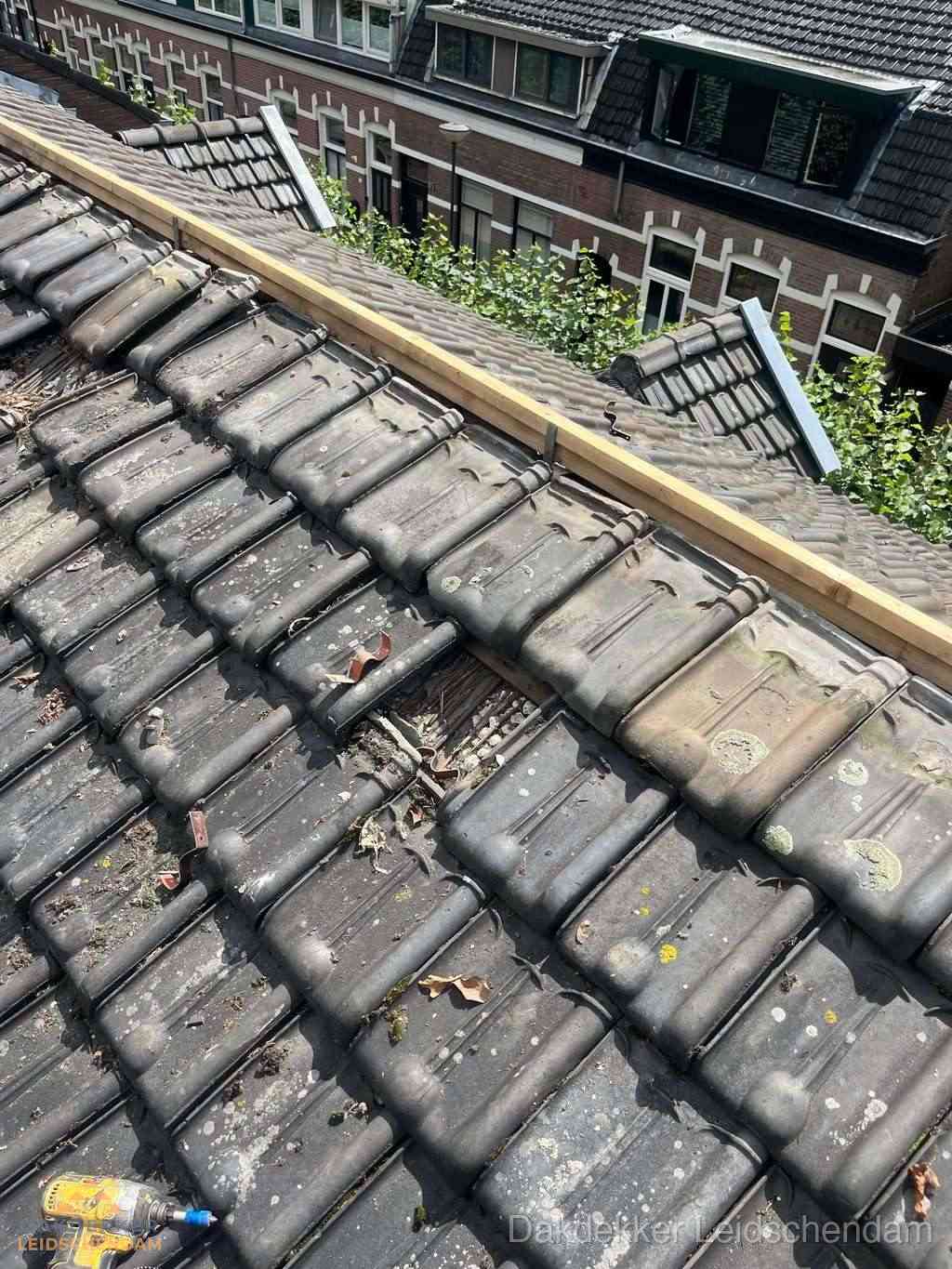 Dakonderhoud Leidschendam Dakonderhoud Leidschendam